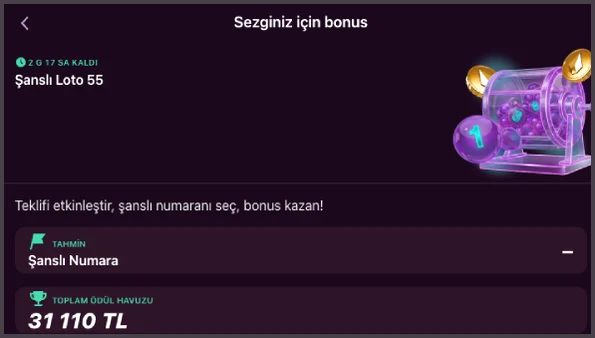 Şanslı Loto 55 Şanslı Loto 55 teklif sayfasında 2 G 17 SA KALDI geri sayımı, Şanslı Numara tahmin alanı ve 31 110 TL toplam ödül havuzu bulunuyor.