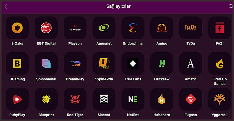 Oyun sağlayıcıları Sağlayıcılar sayfası, üç sıralı simge ızgarasında 3 Oaks, EGT Digital, Playson, FAZI, BGaming ve Yggdrasil logolarını gösteriyor.
